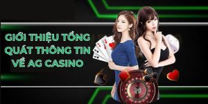 AG Live Casino 33win – Sân chơi cá cược uy tín nhất