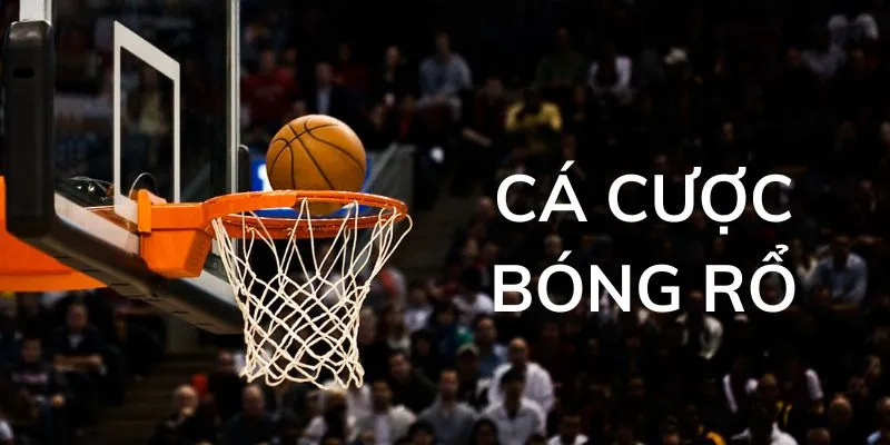 Theo dõi kỹ hình thức cá cược bóng rổ 33win