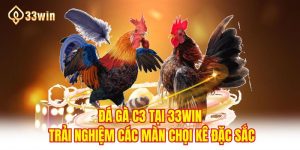 Đá Gà C3 - Trải Nghiệm Các Màn Chọi Kê Đặc Sắc