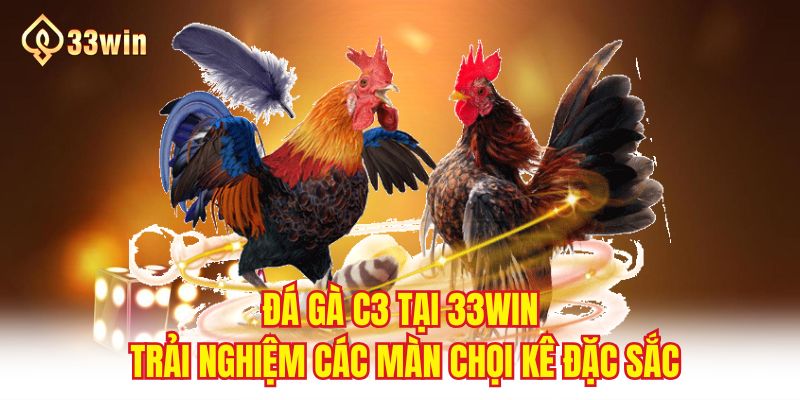 Đá Gà C3 - Trải Nghiệm Các Màn Chọi Kê Đặc Sắc